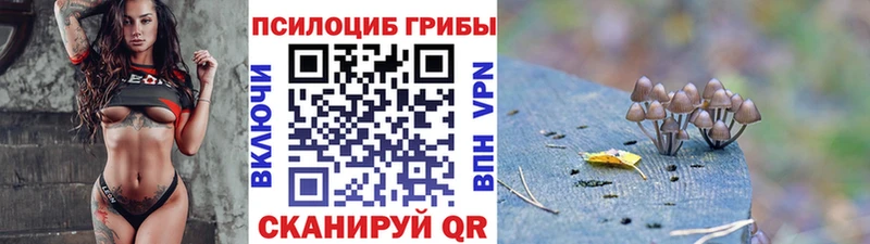 Купить закладки Ульяновск Псилоцибиновые грибы Cubensis